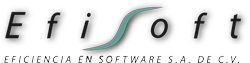 Eficiencia en Software
